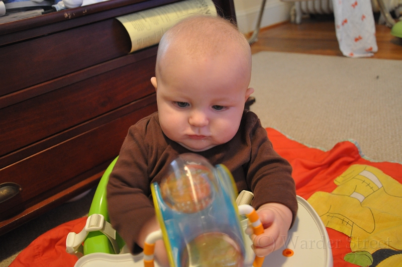 William's Nineteenth Week 39.jpg